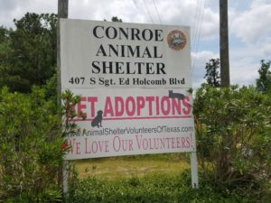 Conroe Animal Shelter - Being a Volunteer